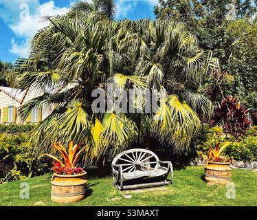 Romney Manor tropical Gardens on the Island of St.Kitts in the West Indies Stock Photo