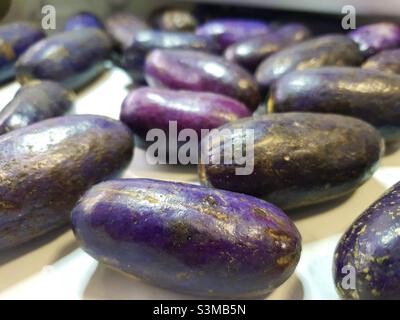African Butter Pear, also known as ube, safou, nsafu, atanga, pear, bush pear, Dacryodes edulis Stock Photo
