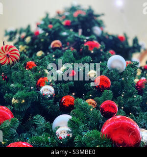 Christmas Tree Stock Photo