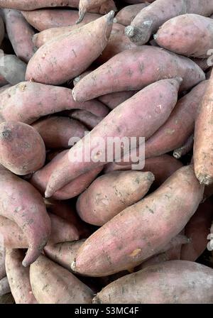 Sweet potato for sale in the local farm shop Stock Photo