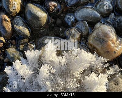 Nature’s creative elegance: Sun-lt ice sculptures, ice flowers and hoar frost, combined with the clear waters and coloured rocks of the Yukon River. Close-up winter wonderland. Stock Photo