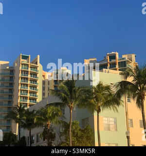 December, 2021, buildings photographed from Collins Avenue, South Beach, Miami Beach, Miami-Dade County, Florida, United States, North America Stock Photo