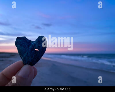 Heart-shaped seashell found on the beach on Amelia Island, Florida set against s beautiful ocean background. Stock Photo