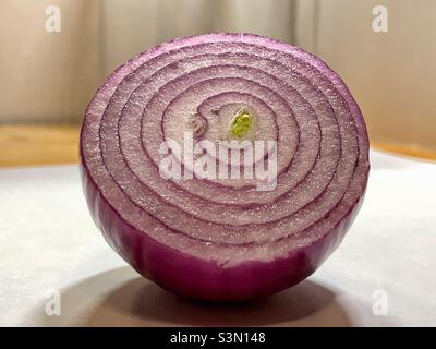 Half slice of onion Stock Photo