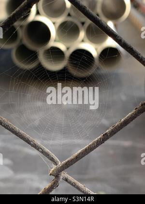 Tiny spider and web in chain link fence opening Stock Photo