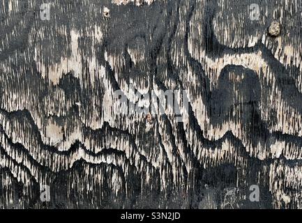 A close-up of wood grain on the shuttering of a boarded up shopfront in Worcester Stock Photo