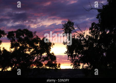 Sunset behind the trees Stock Photo
