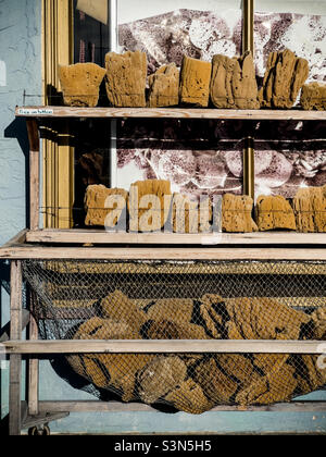 Sponges found in a shop window in the Greek community of Tarpon Springs along the Gulf Coast of Florida. Stock Photo