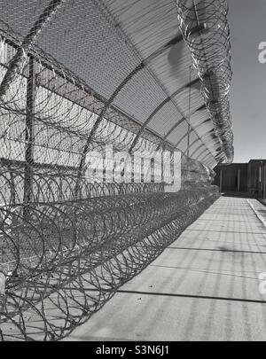 Razor wire describing the story of incarceration behind the fence. Stock Photo