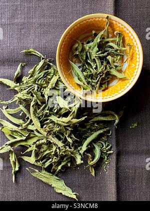 Dried lemon verbena (Aloysia citrodora) or lemon beebrush leaves Stock Photo