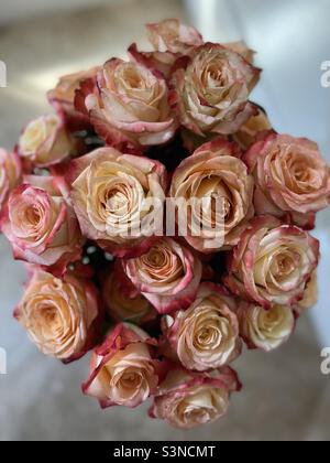 Looking down on a bouquet of peach colored roses Stock Photo