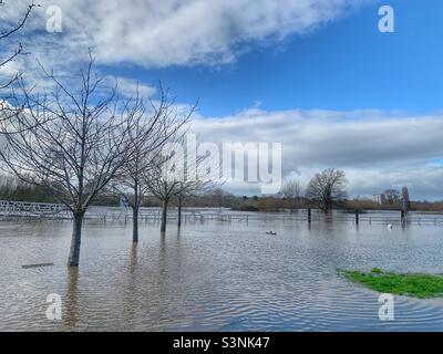 Flooding on the river Severn in Worcester from Basin Road Stock Photo