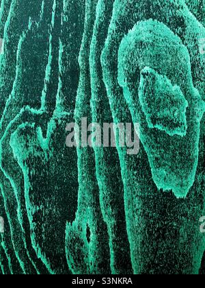 Full frame texture background of green wood with grain and knots and copy space Stock Photo