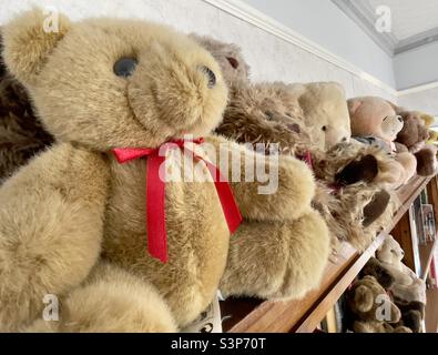 A collection of teddy bears, sitting in a row on top of a bookcase Stock Photo