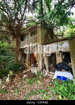The old primary school in Mo Tat old village on Lamma island in Hong Kong. Stock Photo