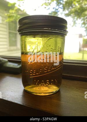 A Mason jar of lemon vinaigrette sitting on a window sill.  The sun is causing the liquid to glow a pretty yellow. Stock Photo