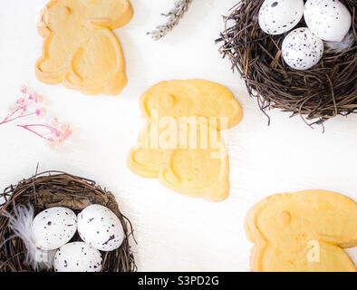 Flat lay of bird’s nests with speckled eggs, dried flowers and bunny biscuits Stock Photo