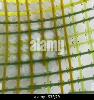 Glass plate with Stripes of glass embedded handmade art glass Stock Photo