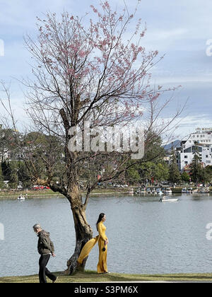Ao dai taking pictures with cherry apricots Stock Photo - Alamy