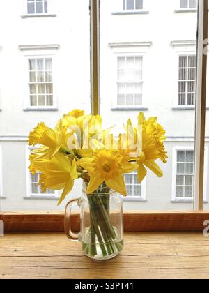 Daffodils in a jar on an Oxford windowsill Stock Photo