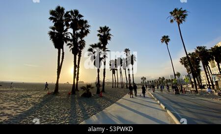 Sun setting behind palm trees, silhouetting anonymous, masked walkers and cyclists on the board walk at the beach in Santa Monica, California Stock Photo