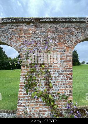 Wall with arches and flowers growing on it in the gardens at Highclere Castle, Hampshire, England. August 2021. Stock Photo