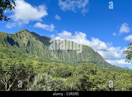 View while hiking at Hoʻomaluhia Botanical Garden in Kaneohe, Hawaii on Oahu Stock Photo