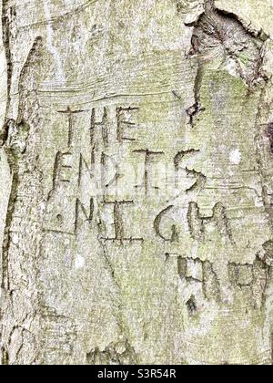 Tree Stump Writing Frame Graffiti writing on tree stump in the woods Stock Photo - Alamy