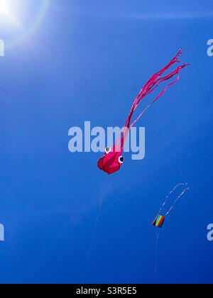 Kites in the sky Stock Photo
