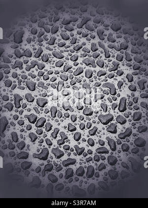 Water droplets on a highly waxed metallic surface - an interesting image with texture and background potential. Photo ©️ COLIN HOSKINS. Stock Photo