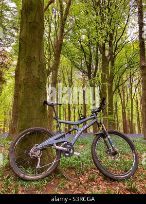 Marin Mount Vision Retro Mountain Bike in a bluebell wood Esholt West Yorkshire Stock Photo