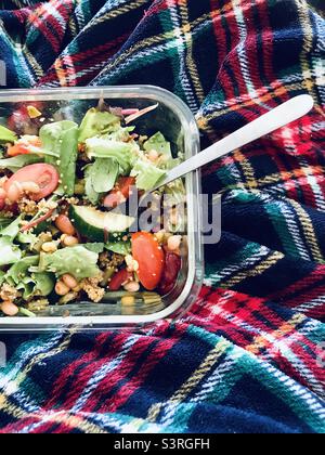 Healthy Lunch - couscous with salad leaves, beetroot, tomatoes, cucumber, chickpeas, red pepper, sweetcorn, mixed beans (red kidney, black eyed, green, haricot and borlotti). Tartan blanket to sit on. Stock Photo