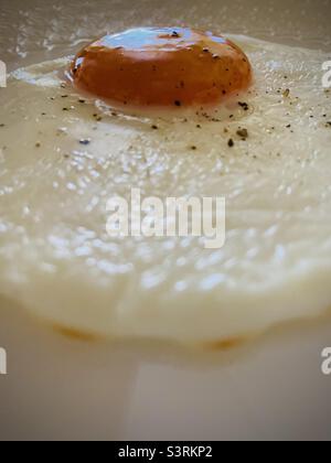 Fried Egg Spiegelei Stock Photo