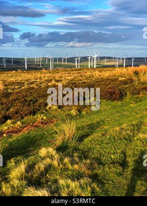 Crystal rig onshore wind farm, Lammermuir hills, Scotland Stock Photo