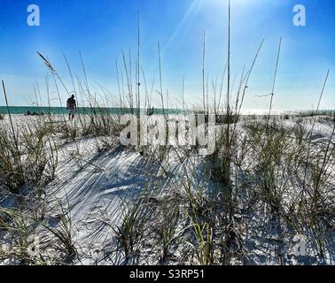 Looking through the grass on Sand Dunes towards Bean Point Beach on Anna Maria Island in Florida Stock Photo