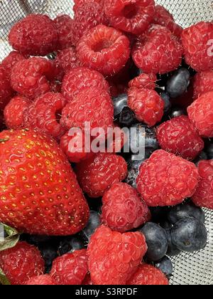 Fresh berries in colander Stock Photo
