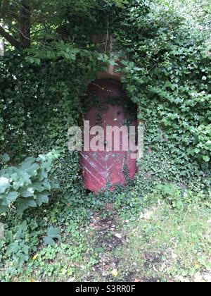 Old red painted wooden doorway in wall covered with green ivy leaves Stock Photo