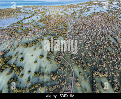 Aerial view of Jubail park with mangroves in Abu Dhabi. Special eco system, natural environment. Stock Photo