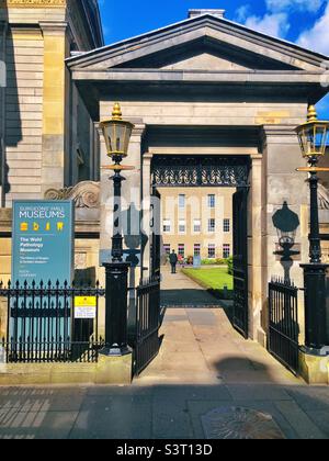 Surgeons Hall, Nicolson Street, Edinburgh, Scotland, UK Stock Photo - Alamy