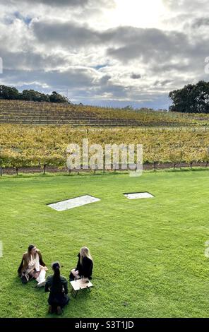 Three women having a picnic on the lawn at Vasse Felix winery Margaret River Western Australia Stock Photo