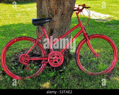 Old red bicycle under the shade of a tree. Stock Photo