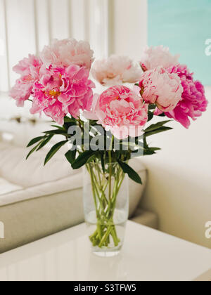 Close up of a bouquet of fresh cut pink peony flowers in a glass vase on a white console table. Stock Photo