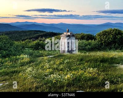Wild flowers in bloom along the Appalachian Trail in Vermont. Stock Photo