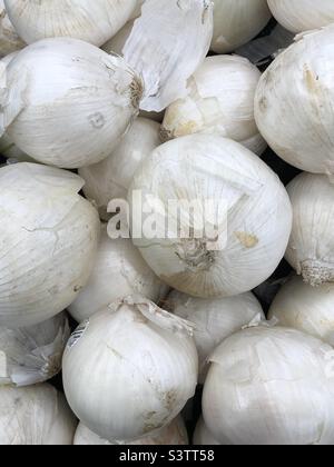 Onions at market. Stock Photo