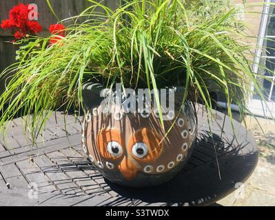 Garden ornamental owl pot with grass growing in summer Stock Photo