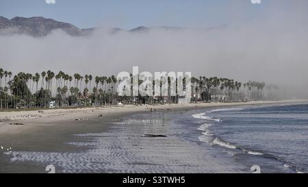 Sea mist rolling in across the beach and palm trees, obscuring distant mountains in Santa Barbara, California. Side view Stock Photo