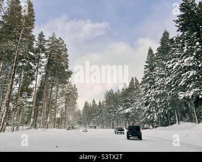 Cars driving on snow-covered road with tall pine trees on either side, at Mammoth Mountain, California Stock Photo