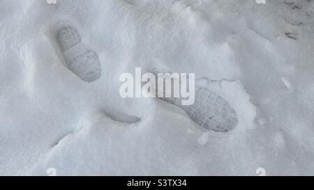 Close up on footprints in freshly fallen snow with soft, almost shadowless, light Stock Photo