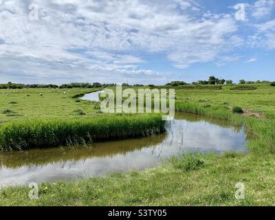 Dyke on the Romney Marshes Stock Photo - Alamy