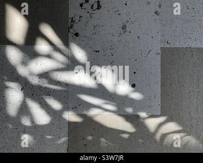 Pattern of shadows cast by sunlight through plants on a grungy, tiled floor, creating abstract background Stock Photo